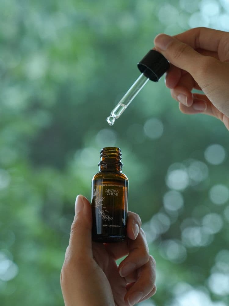 에스티아 이미지